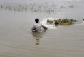 হাওরে ধান তলিয়ে দিশেহারা কৃষক, ঋণের চাপেই নির্ঘুম রাত