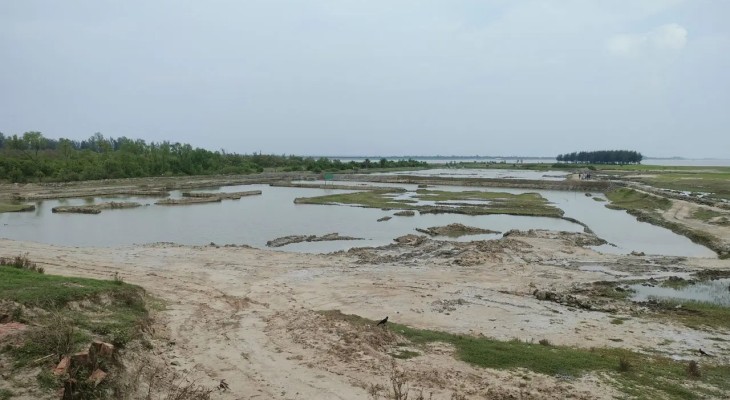 মাটিখেকোদের থাবায় আনোয়ারার গহিরা প্যারাবন